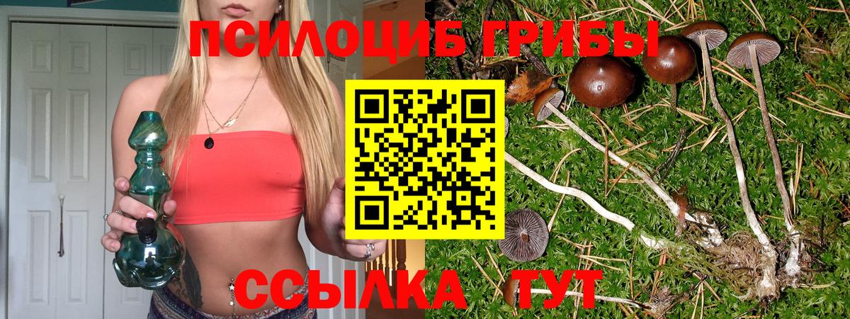 Псилоцибиновые грибы MAGIC MUSHROOMS Ульяновск
