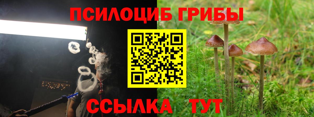 Псилоцибиновые грибы Psilocybine cubensis  Галлюциногенные грибы Psilocybe  Ульяновск  Вход с VPN 